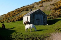 The Rocket House at the foot of Rhossili Down