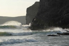 Waves in Mewslade